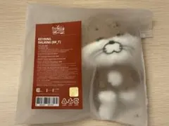 BOYNEXTDOOR ボネクド ポップアップ BBNEXDO リウ