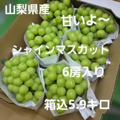 1️⃣0️⃣ 山梨県産 シャイン＆牧丘巨峰 詰め合わせ箱込5.5キロ