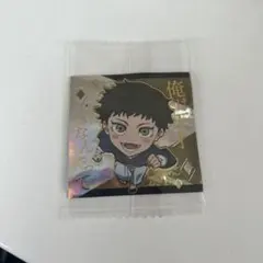 にふぉるめーしょん 呪術廻戦シールウエハースvol.4 死滅回游