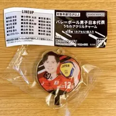 バレーボール男子日本代表 うちわアクリルチャーム 12番 高橋藍