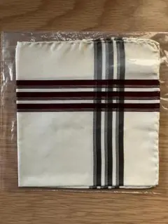 Item thumbnail for item 7d0df31e-433c-4d4e-a883-85fb166ada2d