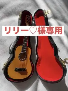 サミック　エレキマンドリン　SM-20E専用ケース　替弦等　Samick サミック エレキマンドリン SM-20E専用ケース 替弦等 Samick - メルカリ
