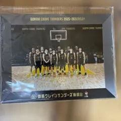 2026年最新】群馬クレインサンダーズ サインの人気アイテム - メルカリ