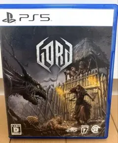 美品 PS5 GORD ゴルド