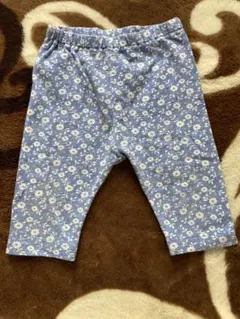 Item thumbnail for item e484281a-e3bb-4441-a0df-139f1f8d6cd0