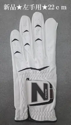ゴルフグローブ 22