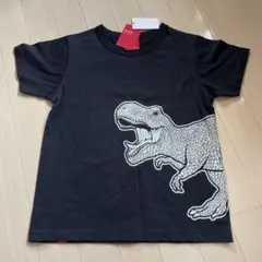 OJICO恐竜Tシャツ 10Aのサムネイル