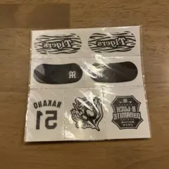 Item thumbnail for item 4711e7a6-79d9-41e4-b469-b2469717ac46