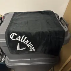 タオル アクセサリー