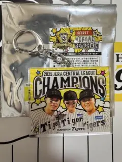 【新品】 甲子園限定 アクリルキーホルダー 森下翔太 佐藤輝明 前川右京