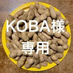 KOBA様専用　生落花生　おおまさり　塩茹で用　大阪府　約2キロ　No.17