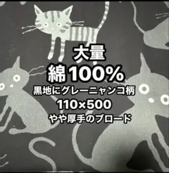 9月❤️可愛〜中厚ブロード、ニャン柄