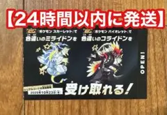色違い　ミライドン　コライドン