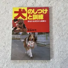 Item thumbnail for item 0bfaa329-8076-4f04-9870-d54546d4aec2