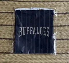 Item thumbnail for item 72206378-c7e3-46c4-b209-a116b91f017c