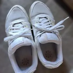 Item thumbnail for item 42166a95-730b-404e-b8ba-6b8c83219282