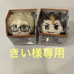 きい様専用ページ