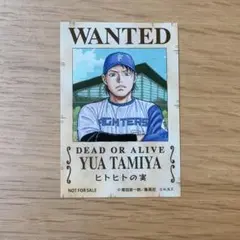 【非売品】 ファイターズ ワンピース 手配書ステッカー 田宮裕涼