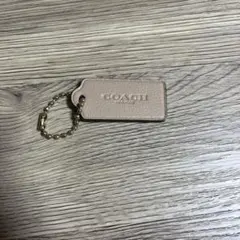 Item thumbnail for item 8be09f4b-8449-4fd7-840a-32631c223d96