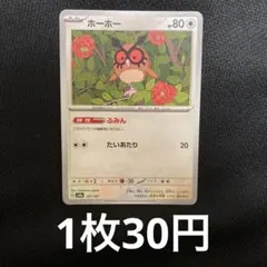 ホーホー　ふみん　30