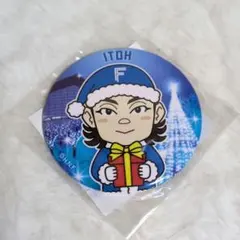 伊藤大海 記念グッズ