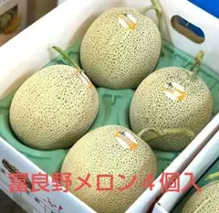 た*ー様 大玉サイズ 高知県産 温室赤肉メロン5玉入り約9.7kg（下箱込み