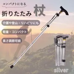 Item thumbnail for item 6dab9487-dd25-42c5-8f41-3cfe3e7524c7