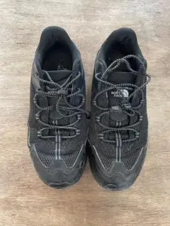 THE NORTH FACE vective