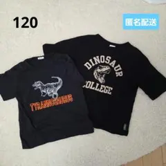 BREEZE Tシャツ 120cm 2枚セット