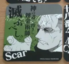 専用出品　スカーのみ