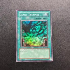 遊戯王カード 遊戯王OCG デュエルモンスターズ(外国語版)