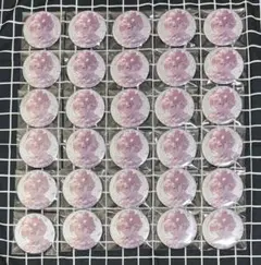 プロセカ グリッター缶バッジ 50a 50A MEIKO 30点セット