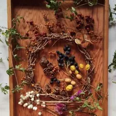 2026年最新】野ばらの実 リースの人気アイテム - メルカリ