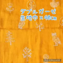 (特価77)ダブルガーゼ　刺繍　イエロー　植物とフクロウ　生地巾×40