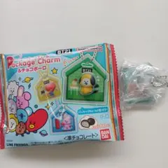 BT21 パッケージチャーム SHOOKY