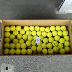 Item thumbnail for item 11026f57-1891-49ad-9298-00191a3cf7bf