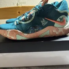 鹿*夏様 NIKE PG6 EP バッシュ　箱あり Nike PG 6 (PG6) EP Performance Review - ASTERKICKS
