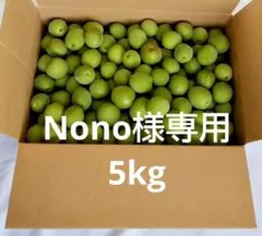 Nono　青梅 5kg Nono様専用 青梅 5kg - メルカリ