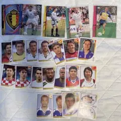 日韓W杯 パニーニ社 カード&ステッカーセット 2002年