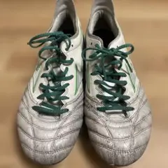 モレリアネオ3 26