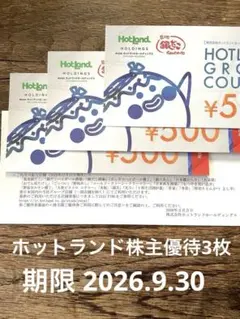 ホットランド株主優待券 1,500円分 銀だこ - メルカリ