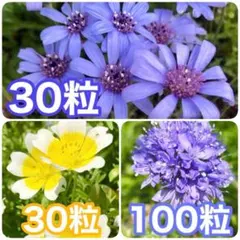 hi_na7様 リクエスト 2点 まとめ商品