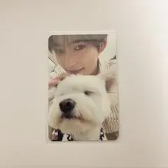 ZEROBASEONE ゼベワン ハンビン トレカ レオ 封入