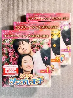 新品　となりのツンデレ王子　DVD−BOX 全巻　 全18枚組　中国ドラマ　字幕