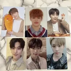 seventeen ディノ トレカ