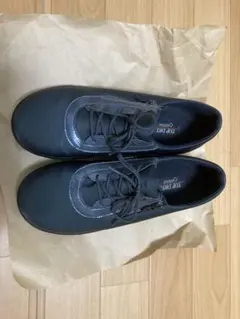 Item thumbnail for item b5ff429b-d3ce-456c-9566-2ba74655e53b