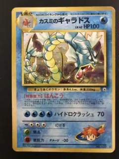 2025年最新】カスミのギャラドスの人気アイテム - メルカリ