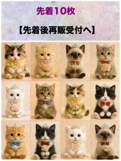新柄‼️猫柄【先着10枚】12枚パネル生地　ジュエリーにゃんこ
