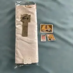 Item thumbnail for item 7769881e-4eca-408b-affa-e352f46d0d38