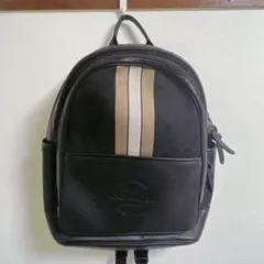 3/11まで値段　未使用級Coach 極美品　かばん• バッグ